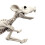 Halloween Tierknochen Dekoration für Party 3
