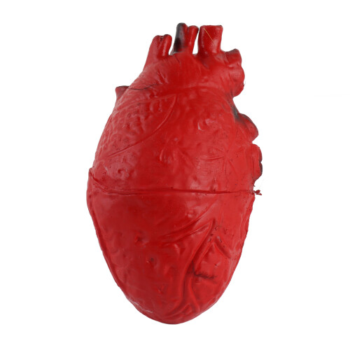 Cuore Umano Finto in Latex per Halloween 1