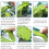 Pull Back Dinosaur Airplane Track Toy Kids Cargo Plane Play Gift 3