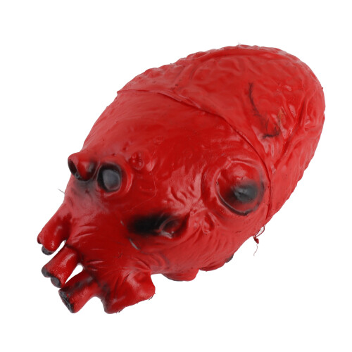 Cuore Umano Finto in Latex per Halloween 2