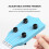 Kids Mini Ukulele Musical Instrument School Play Gift 5