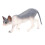 (PL127 1840) Statuetta Gatto Sphynx Piccola per Bambini 1
