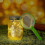 Insect Catcher Kit Bug Collecting Jar Handle Net Outdoor Set 2