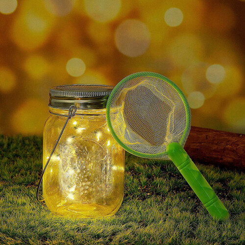 Insect Catcher Kit Bug Collecting Jar Handle Net Outdoor Set 1