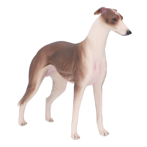 Realistische Greyhound Puppy Model 3+ jaar