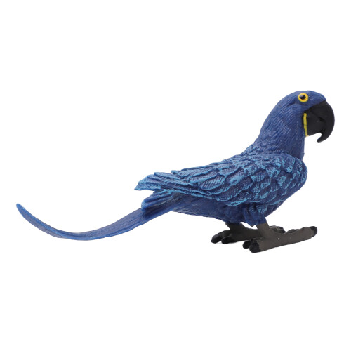 Modello Eco-Friendly Pappagallo Blu Educativo 1