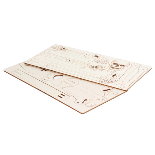 Menselijk Skelet Model Houten DIY Educatief Speelgoed 2