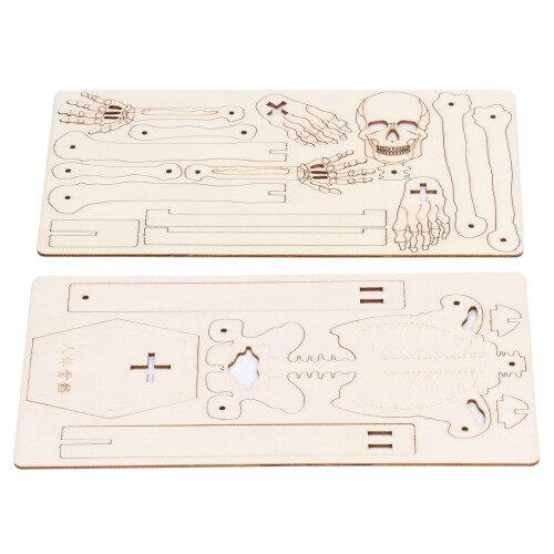 Menselijk Skelet Model Houten DIY Educatief Speelgoed 1