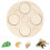 Insecten Levenscyclus Kit met Houten Lade Educatief 1
