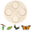 Insecten levenscyclus kit met houten lade educatief 1