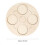 Insecten levenscyclus kit met houten lade educatief 2