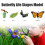 Insecten levenscyclus kit met houten lade educatief 3
