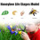 Insecten Levenscyclus Kit met Houten Lade Educatief 3
