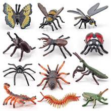 12 Stk Realistische Plastic Insecten Figuur Educatief Speelgoed