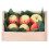 Miniature Apple Dollhouse Decoration 1
