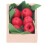 1:12 Scale Mini Fruit Box DIY Dollhouse Decor 3