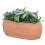 Mini Garden DIY Dollhouse Greenery Gift 5
