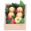 Miniature Apple Dollhouse Decoration 4
