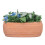 Mini Garden DIY Dollhouse Greenery Gift 3