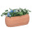Mini Garden DIY Dollhouse Greenery Gift 2