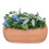Mini Garden DIY Dollhouse Greenery Gift 4