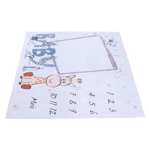 Coperta Milestone Neonato Foto 2