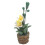 1:12 Mini Flower Basket Bonsai Dollhouse Gift 3
