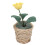 1:12 Realistische Mini Plant Leuke Huispop Decor 5