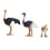 Ostrich-Spielzeug handbemalt, angenehmer Griff 1