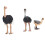 Ostrich-Spielzeug handbemalt, angenehmer Griff 5