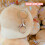 Pluche Kerstman Knuffel Omarmkussen 4