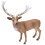 Wild Hirsch Statue Natural Realistic Tiermodell Geschenk 3