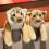 Plüsch-Tiger/Leopard-Stofftier, Geschenk für Kinder & Erwachsene 3