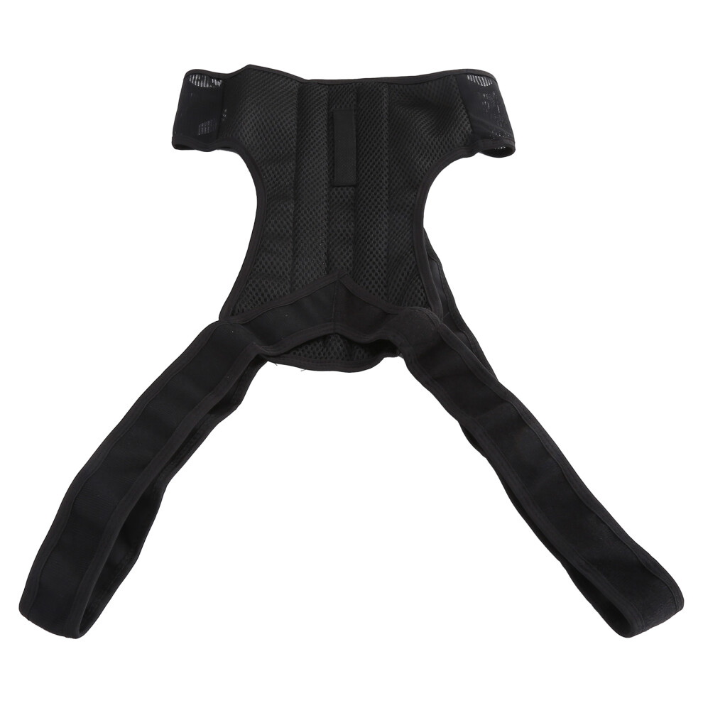 (M) Posture Corrector Adjustable Back Spine Support Belt Brace