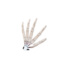 Halloween-Artikulierte Handschuhe Cosplay-Props