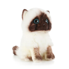 Plüschkatze mit blauen Paillettenaugen, braun-weißes Gesicht, Geschenk