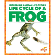 Life Cycle of a Frog by Karen Latchana Kenney Hardcover Book