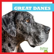 Great Danes by Nadia Higgins Hardcover Book