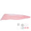 (Pink) Prinses Bed Canopy Net Muggenbescherming Koepel Grijs 5