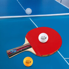 Ping Pong Paddles 2 Bats Long Short Handle Set with Bag 3 Balls