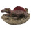 (6#) Dino Figuur Speelgoed Gift 6# 4