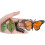 Realistic Animal Growth Cycle Model Toy 3