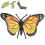 (#1) Butterfly Insect Model Educational Toy 5