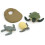 (Tortoise Life Cycle) Highly Simulation Animal Life Cycle Model Toy Tortoise Learning 1