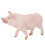 Cute Animal Pig Educational Model Toy 1