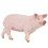 Cute Animal Pig Educational Model Toy 2