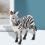 Zebra-Modell, Desktop-Deko, Lernspielzeug 5