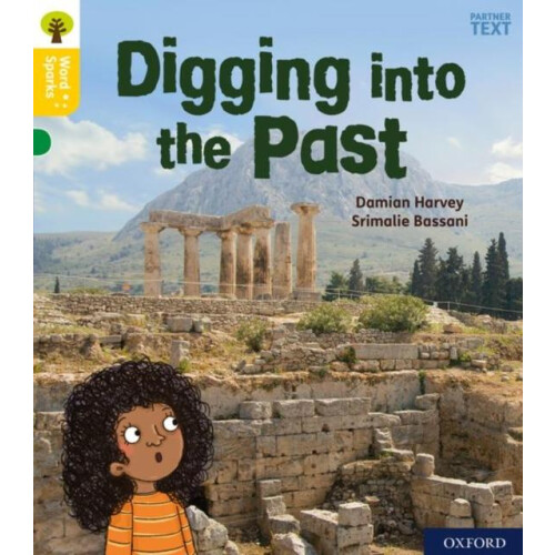 Level 5 Digging Up the Past by Damian Harvey Paperback Book
