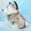 (23cm) Husky-Kuscheltier 28cm Kinder-Geschenk 5