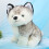 (28cm) Husky-Kuscheltier 28cm Kinder-Geschenk 4